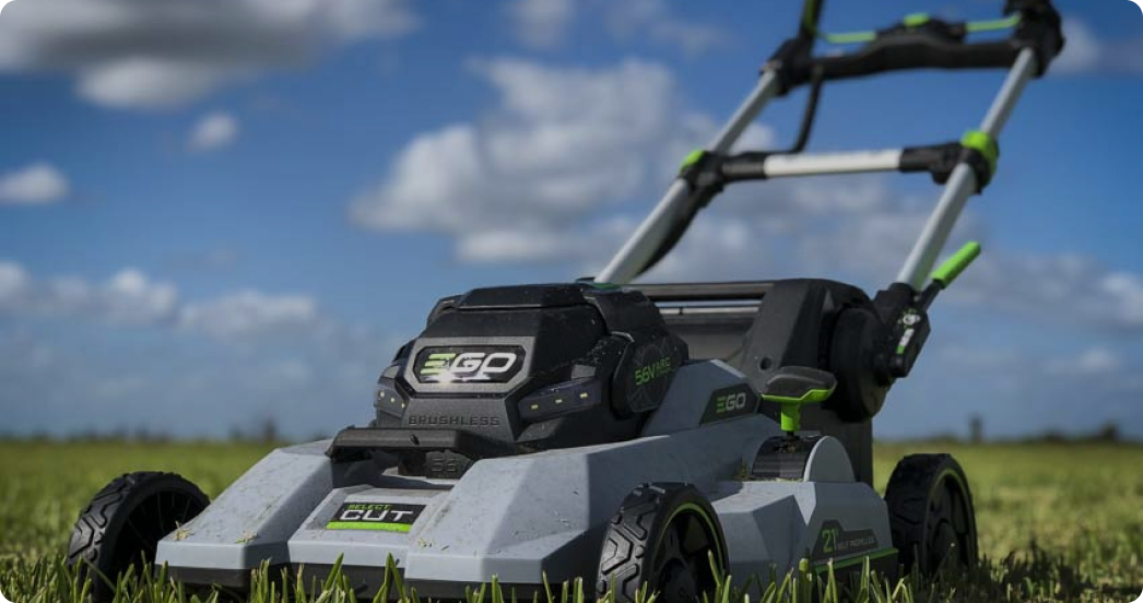 about team dog image