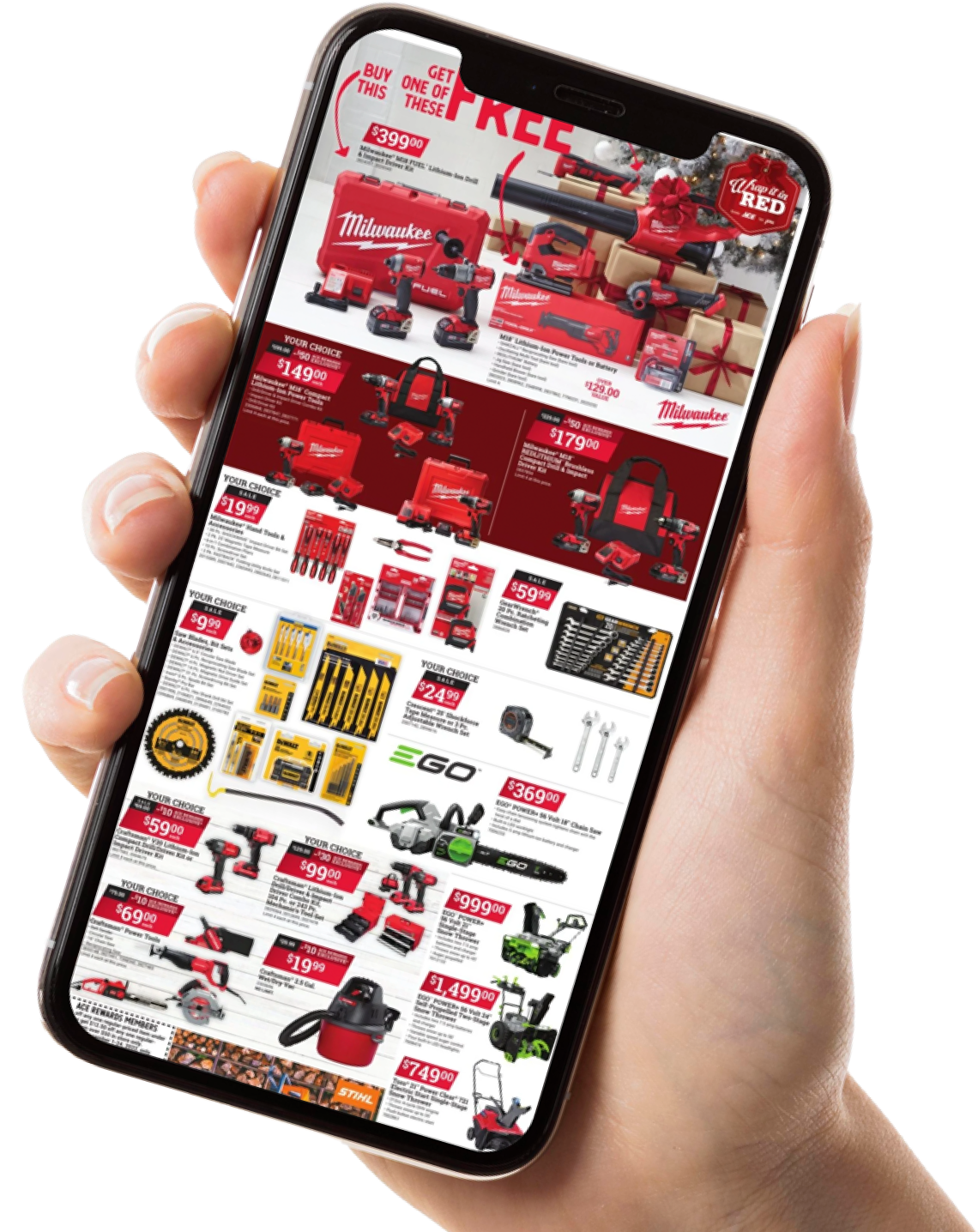 logo ace rewards image